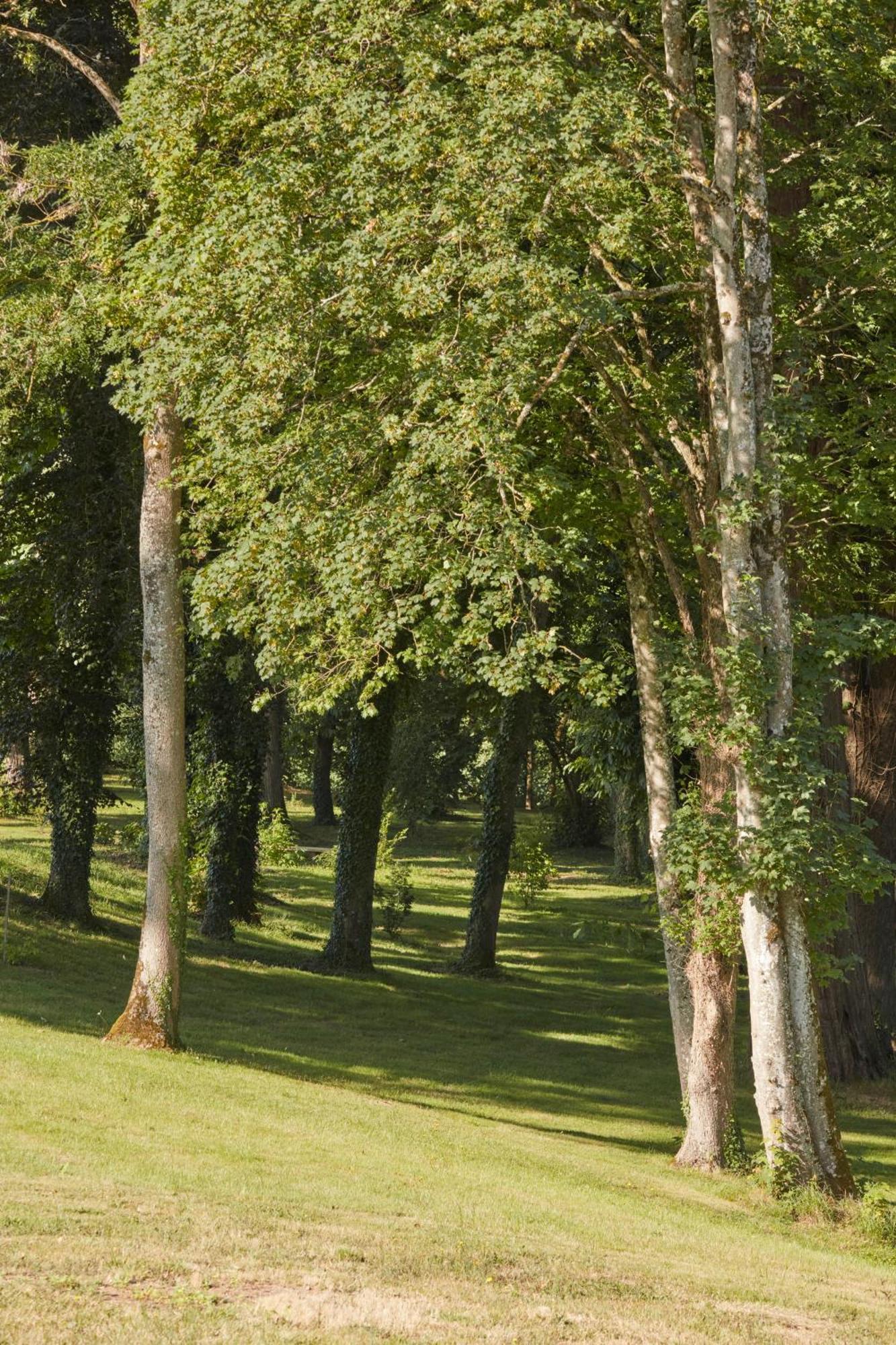 Domaine Le Mezo Hotel Ploeren Kültér fotó